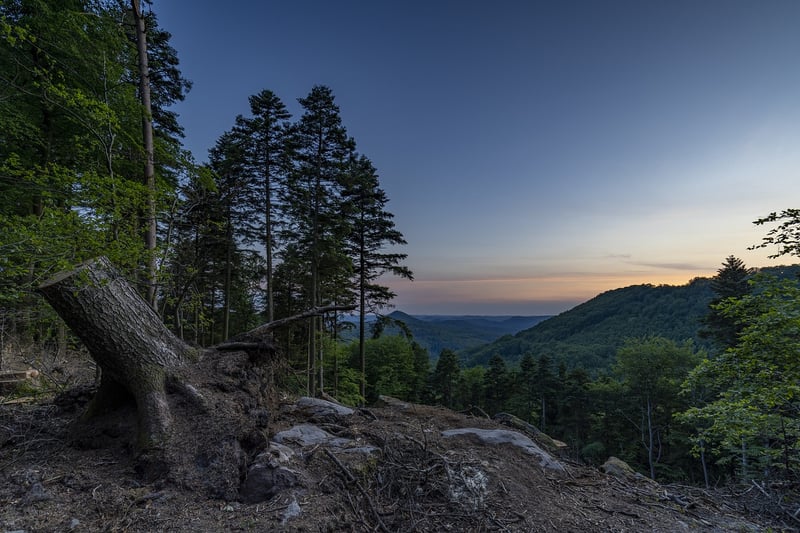 Sunrise Hikes